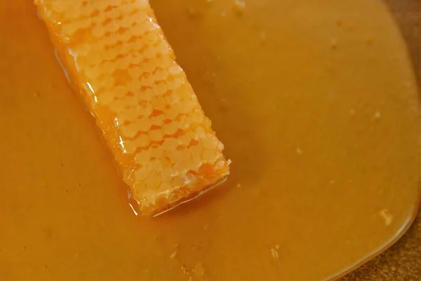 Медовий комбінат і мед. Органічні натуральні біо бджільницькі продукти . — стокове фото