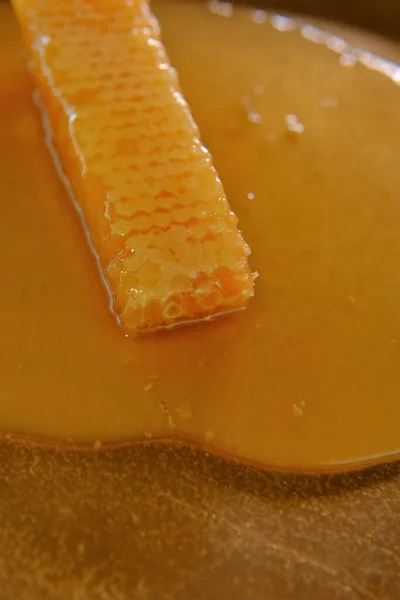 Honeycomb and honey.Organic Healing dessert.Organic natural mileding products. — 스톡 사진