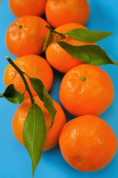 Tangerines fruits. Agrumes frais sur fond bleu.Mandarines de ferme bio. — Photo