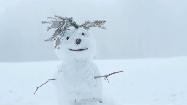 雪だるま図。雪の彫刻雪だるまを作るために。冬の楽しみとゲーム。冬のシンボルクリスマスと新年のお祝い. — ストック動画
