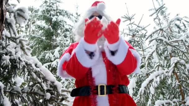 Veselý Santa Claus si hraje se sněhem. Zimní zábava ze Santa Clause. Vánoce. v zimním lese.Santa háže sníh — Stock video