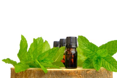 Beyaz arka planda izole edilmiş nane esaslı yağ. Tahta testereyle kesilmiş şişeler ve nane şekerleri. Doğal biyo-kozmetik ve aromaterapi.