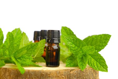 Nane yağı, beyaz arka planda izole edilmiş. Cam şişeler ve tahta testereyle kesilmiş nane şekerleri. Nane yağı. Doğal biyokozmetik ve aromaterapi.