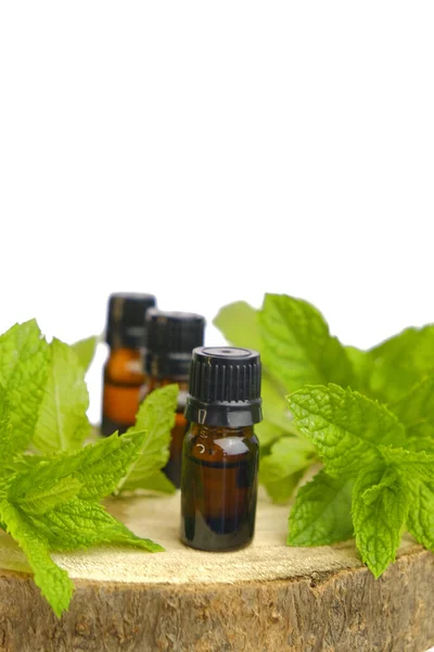 Peppermint essential oil isolated on white background.Glass bottles and sprigs of mint .Organic pure peppermint oil.Natural bio cosmetics and aromatherapy — Stock Photo, Image