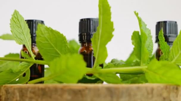 Olio essenziale di menta piperita.Bottiglie di vetro marrone e rametti di menta su una sega di legno tagliato primo piano. . Rotazione veloce. Olio di menta piperita puro biologico. Cosmetici bio naturali e aromaterapia — Video Stock