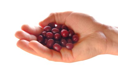 Tatlı kızılcıklar. Beyaz arka planda izole edilmiş kızılcıklar..