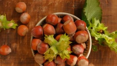 Fındık yakından. Fındık hasadı. Olgun fındık tabağı ve yapraklı yeşil fındık.