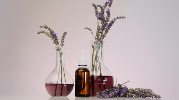 Extracto de lavanda. Aceite esencial de lavender.cosmetics con extracto de lavanda — Vídeos de Stock