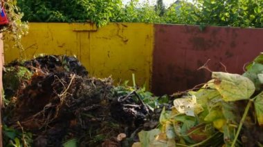 Biyolojik çöp. Bir sürü farklı bitki içeren yeşil gübre. Yeşil gübre. Sebze atıkları. Bitkiler gübre konteynırına düşer. Gübre bahçesi. Bitki işleme..