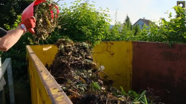 Zelený kompost. Zelený odpad. Rostliny padají z červeného silikonového koše do nádoby na kompost. kompost garden.Plant procesing.Bio odpadky.green kompost s mnoha různými rostlinami. — Stock video