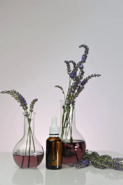 Óleo Essencial de Lavanda. Garrafa de vidro, frascos de laboratório com flores de lavanda em um fundo roxo. Cosméticos naturais orgânicos com extrato de lavanda. — Fotografia de Stock