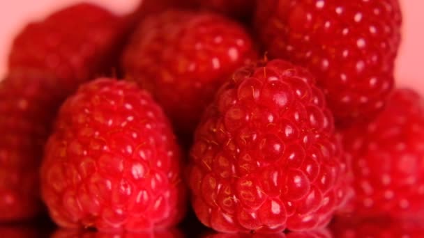 Raspberry matang pada latar belakang merah muda. Beri Raspberry — Stok Video