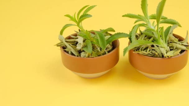 Stevia en tazas de madera sobre fondo amarillo brillante.Edulcorante orgánico natural bajo en calorías — Vídeo de stock