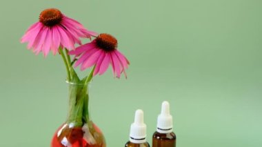 Ekinezya tütsüsü. Echinacea safranının tıbbi tentürü. Şifalı bitkiler ve çiçekler. Tıbbi bir şişede Echinacea purpurea çiçekleri ve yeşil arka planda cam şişeler.