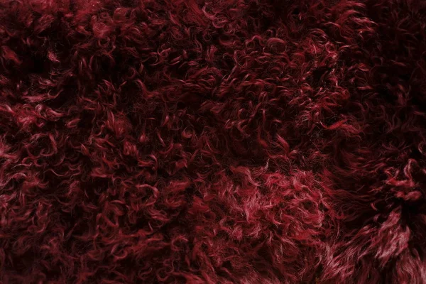 Fluffy burgundy fur texture.Red real wool. Fur texture. Goat fur surface. Warm fluffy fur texture.