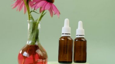 Ekinezya tentürü. Echinacea purpurea 'nın tıbbi tentürünü iyileştirir..