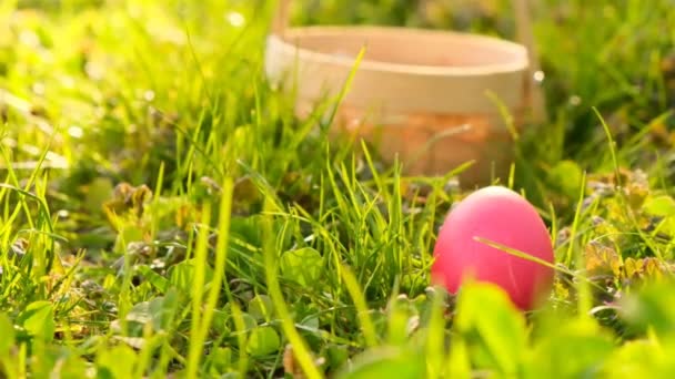 Påskägg jakt.Barn tar ett rosa påskägg och lägger det i korgen. Hand tar påskägg från gräs.Påsk semester tradition.Vår religiösa semester — Stockvideo