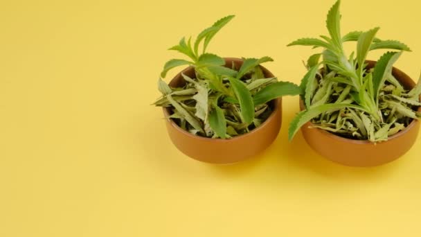 Stevia en copas de madera sobre fondo amarillo brillante. — Vídeo de stock