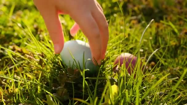 Easter Egg Hunt.Hand prend des œufs de Pâques de l'herbe. Enfant recueille des œufs dans le jardin. Tradition de vacances de Pâques. Fête religieuse pring — Video