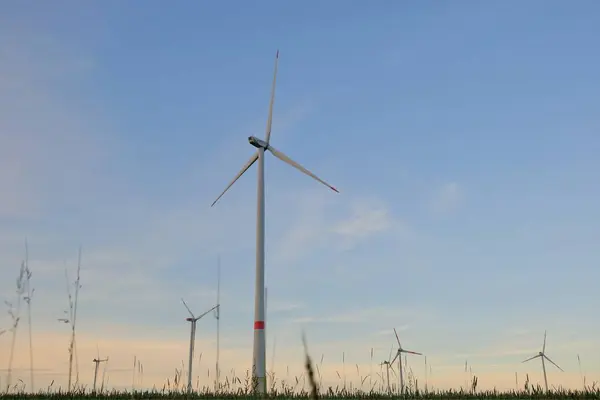 Windräder auf dem Feld. Alternative Energiequellen. Natürliche Energie.Umweltfreundliche natürliche Energie. Tag der Windenergie. — Stockfoto