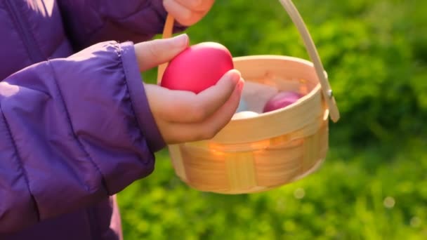 Œuf de Pâques .Enfant recueille des œufs de Pâques et met dans un panier dans le jardin de printemps.Vacances religieuses près.Chasse aux œufs de Pâques.Tradition de vacances de Pâques. — Video