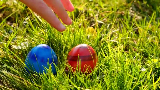 Chasse aux œufs de Pâques.Enfant prend un œuf bleu de l'herbe .Oeufs bleus et rouges dans l'herbe .Tradition de vacances de Pâques. — Video