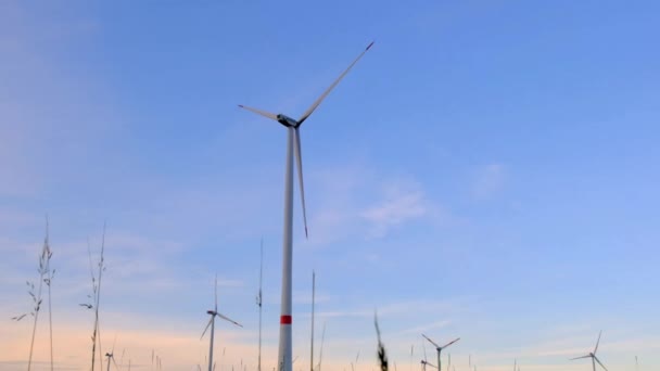 Turbine eoliche. Energie naturali.Fonti energetiche alternative. Fonte energetica rispettosa dell'ambiente. Vacanza giorno energia eolica. — Video Stock