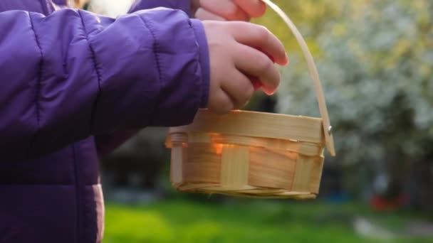 Easter Egg .Child collects Easter eggs in the spring garden. — Stock Video