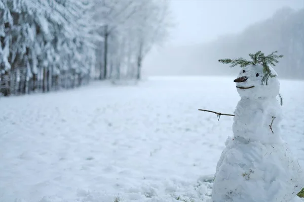 Bałwan w śnieżnym lesie zimowym. Symbol zimy.Świąteczny świąteczny. Zimowe gry i zabawy. — Zdjęcie stockowe
