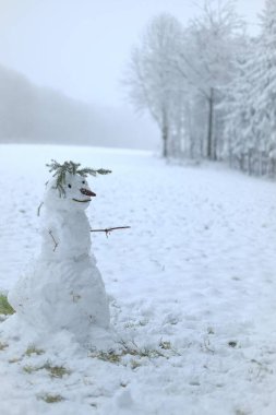 Karlı bir kış ormanında kardan adam. Kış sembolü. Noel ve Yeni Yıl şenliği. Kış eğlencesi.