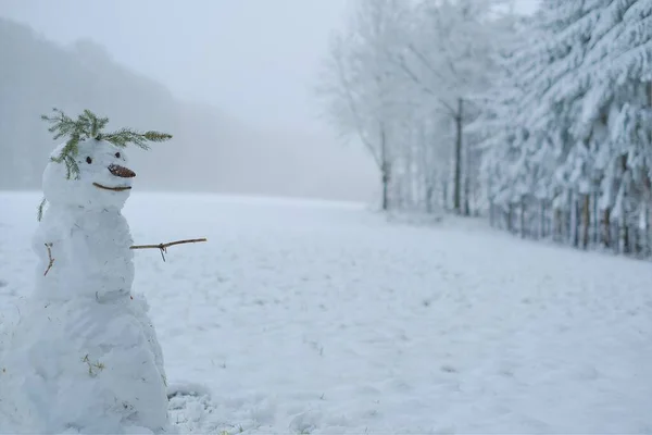 Boneco de neve em uma floresta de inverno nevado. Símbolo de inverno.Natal e Ano Novo festivo. Jogos de inverno e diversão. — Fotografia de Stock