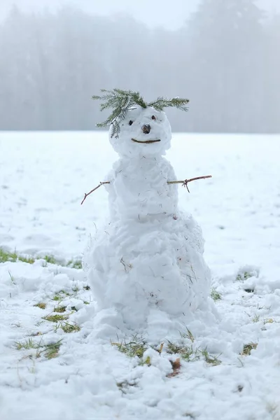 Bałwan w śnieżnym lesie zimowym. Zimowy symbol. Boże Narodzenie i Nowy Rok. Zimowe gry i zabawy. — Zdjęcie stockowe