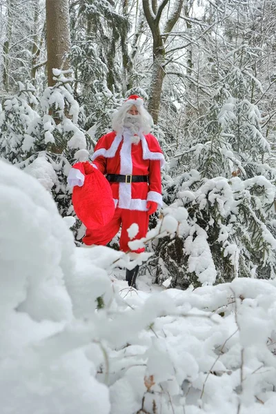 Noel Baba ve kış ormanında bir çanta dolusu hediye. Mutlu Noeller. Noel ve Yeni Yıl — Stok fotoğraf