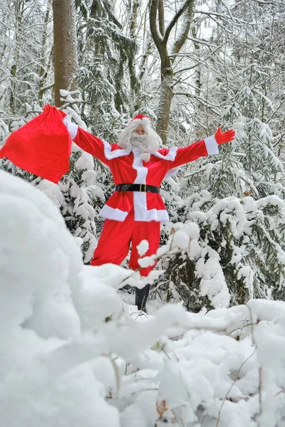 Santa Claus a velký pytel dárků v zasněženém lese.Veselé Vánoce. Vánoce a Nový rok — Stock fotografie