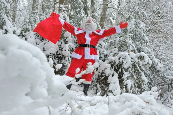 Santa Claus a velký pytel dárků v zimě zasněžené lese.Veselé Vánoce. Vánoce a Nový rok — Stock fotografie