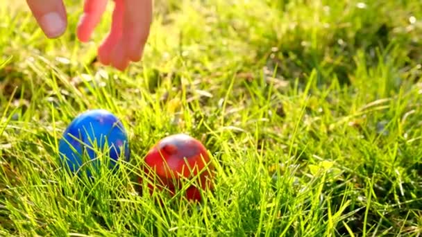 Easter Egg Hunt.Child leva ovos de páscoa. Ovos azuis e vermelhos na grama no jardim da primavera. Mão leva ovos de Páscoa de grama.Férias de Páscoa tradition.Spring feriado religioso — Vídeo de Stock