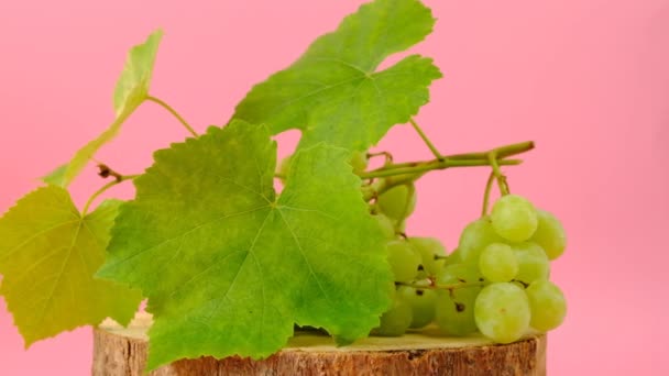 Uva. Um bando de uvas verdes com folhas em um fundo rosa claro. — Vídeo de Stock