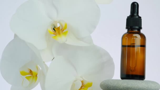 Huile de massage et pierres de massage. Fleurs d'orchidée blanche, pierres grises de massage et huile de massage sur fond blanc. — Video