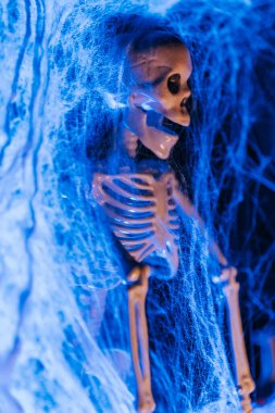 Mavi mistik bir ışık altında örümcek ağları ve iskeletleri olan ürkütücü Cadılar Bayramı Sahnesi. Ürkütücü bir festival ortamı. Ürkütücü Cadılar Bayramı sokak dekorasyonu. İskeleti ve örümcek ağı olan Cadılar Bayramı duvar kağıdı. 