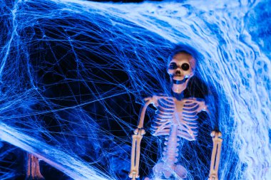 Ürkütücü Cadılar Bayramı duvar kâğıdı. Örümcek ağındaki iskelet başı. Örümcek ağlarına dolanmış iskelet. Ürkütücü mavi ışıkla. Açık hava Cadılar Bayramı dekoru. Sihirli tatil havası.