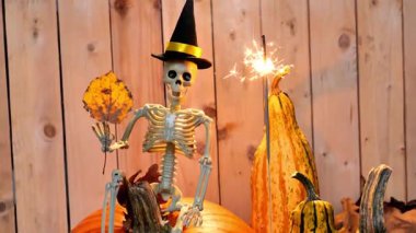 Cadılar bayramı süsü, balkabaklı siyah şapkalı iskelet cadılar bayramı. 4k görüntü