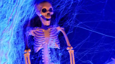 Karanlık içinde bir iskelet ve örümcek ağı olan dumanlı mavi Cadılar Bayramı duvar kâğıdı. Cadılar Bayramı mistik atmosferi. 4k görüntü