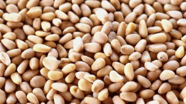 Çam fıstığı. Sağlıklı yağlar. Keto diyet malzemesi. Fındık ve tohum. Faydalı sağlıklı atıştırmalık. 