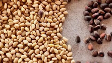 Kabuklu çam fıstığı ve soyulmuş çekirdekler seramik bir kupanın içine dökülür. Faydalı sağlıklı atıştırmalıklar. görüntüler