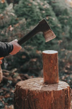 Adam büyük bir kütükte odun kesiyor. Isınma mevsimi. Katı ısıtma yakıtı. Isınma mevsimi için odun hazırlıyorum.