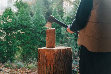 Isıtma mevsimi. Adam, Balta ile Odun Kırıyor. Isıtma mevsimi için odun hazırlıyorum. Doğal ısı kaynağı ve evin ısıtması. 