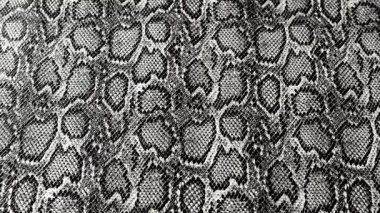 Gri yılan derisi. Hayvani moda izleri. 4k görüntü