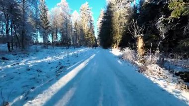 Kış ormanlarında bir yürüyüş. Bir aile ormanda karlı bir yol boyunca yürür. Kış yürüyüşü ve sağlıklı bir yaşam tarzı. 4k görüntü