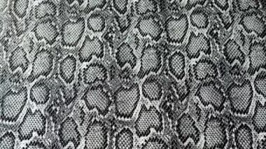 Yılan derisi. Kumaş dokusu arka planı. Hayvani moda baskıları. 4k görüntü