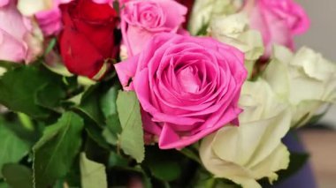 Kadınların elinde çeşitli güller. Pembe, kırmızı ve beyaz gül buketi. 4k görüntü